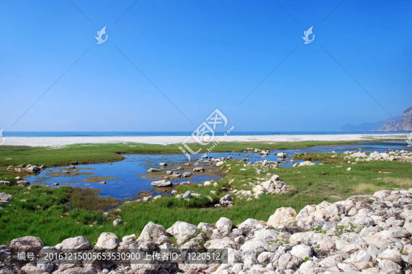 后面的海海