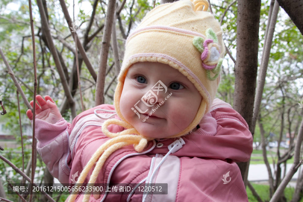 嬰兒；公園；肖像