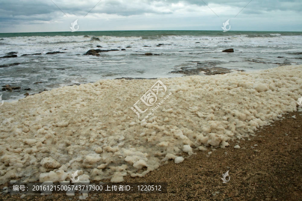 Low,Tide遺棄的海岸線