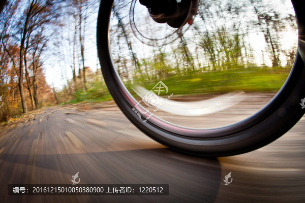 在一個可愛的秋天/秋天的一個城市公園騎自行車