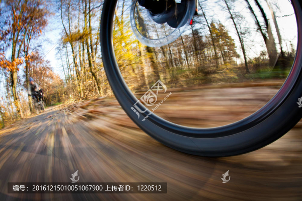 在一個可愛的秋天/秋天的一個城市公園騎自行車