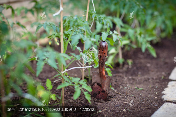 這種有機/生物/永續(xù)農(nóng)業(yè)園
