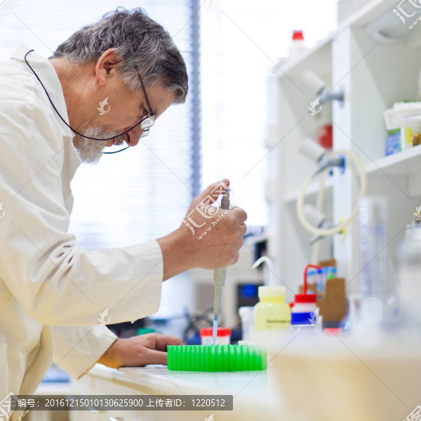 男性資深研究員開展科學研究在實驗室（淺景深；顏色色調(diào)的圖像）