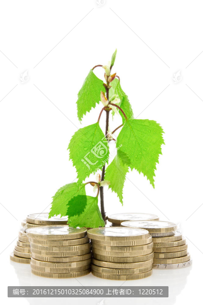 硬幣與綠色植物