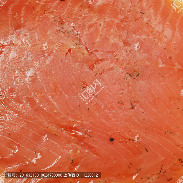鮭魚(yú)