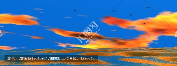 景觀