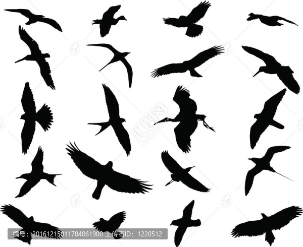 鳥集