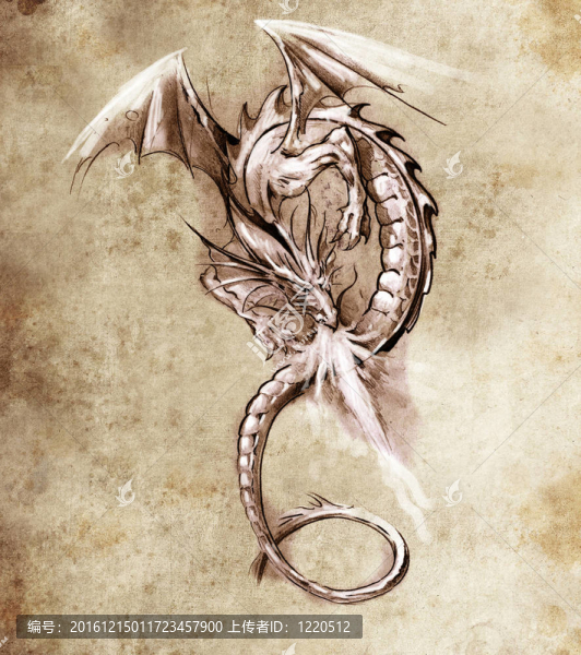夢(mèng)幻龍。紋身藝術(shù)素描；中世紀(jì)怪物
