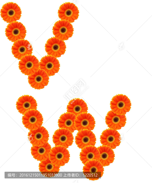 字母花