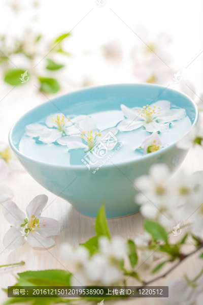 SPA和芳香療法的春天的花朵