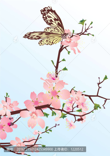 櫻花蝴蝶