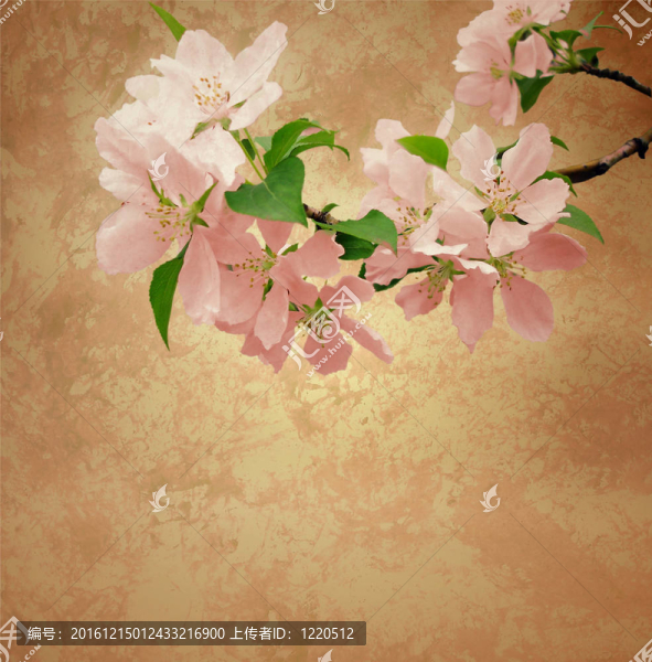 開花的樹最深的背景虛化