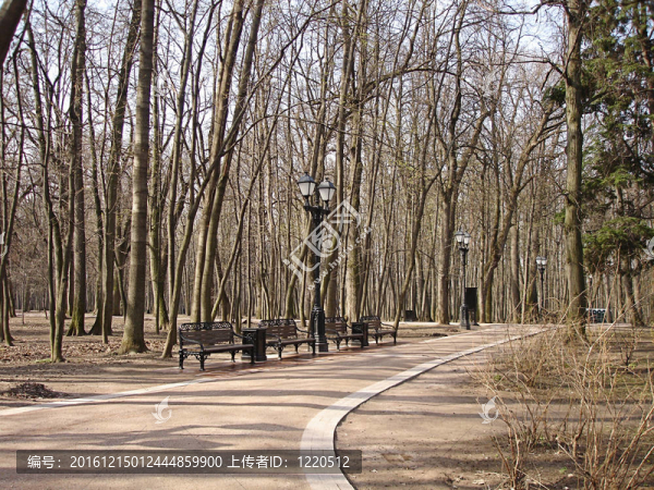 公園里的早春