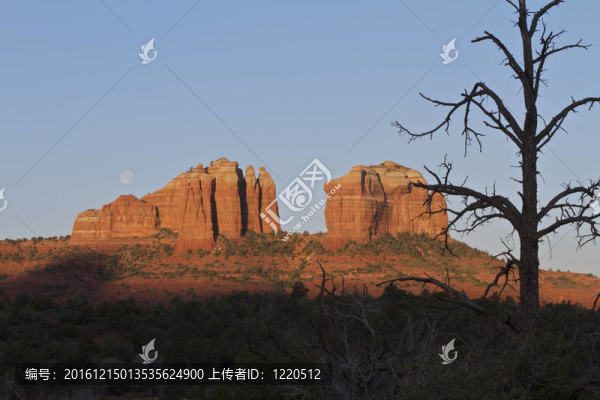 大教堂搖滾與Moon