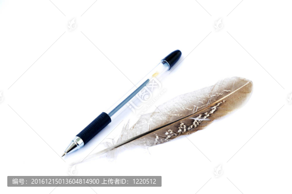 筆和羽毛