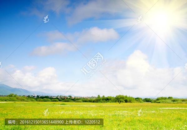 春天的草地