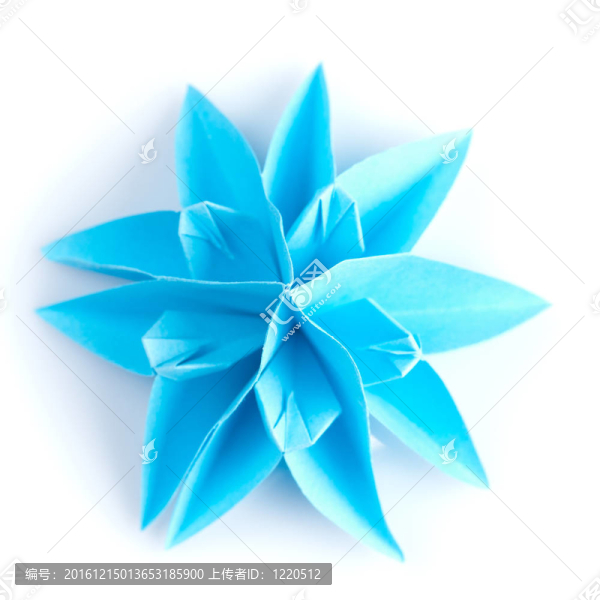 藍雪花折紙