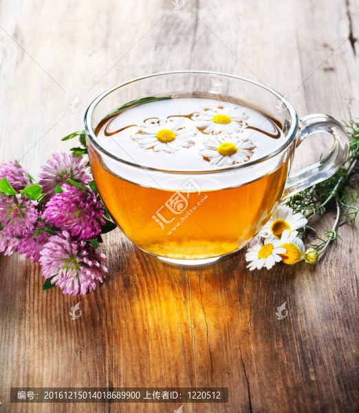 與三葉草和甘菊茶
