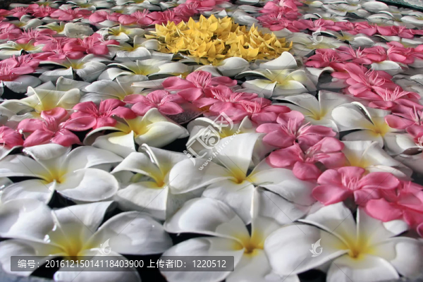 花在水