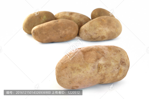 六原褐色土豆