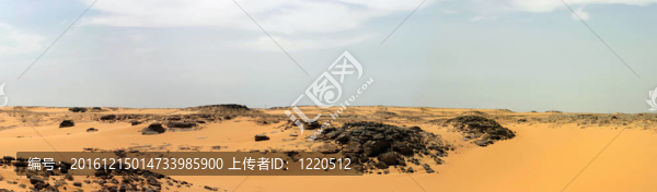 利比亞沙漠。