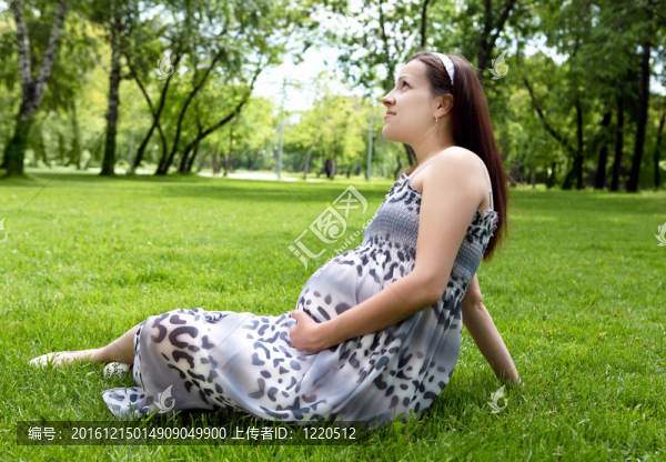 公園里孕婦的畫像