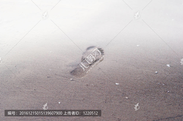 沙灘上的腳印