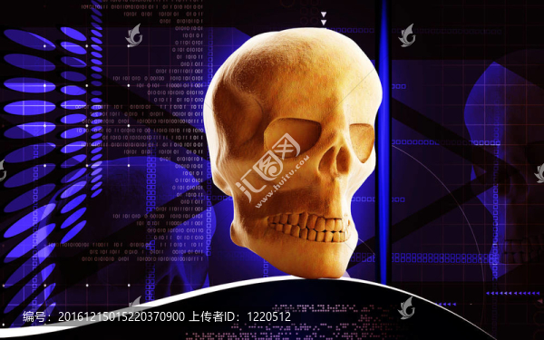 人類頭骨