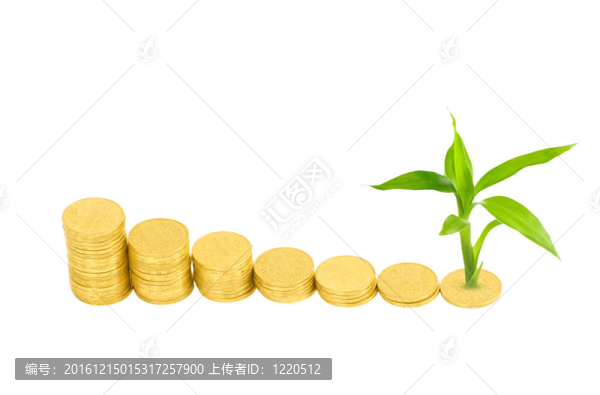 金幣和白色植物