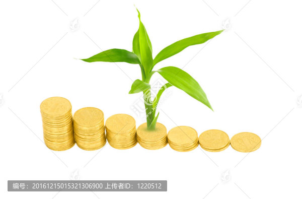 金幣和白色植物