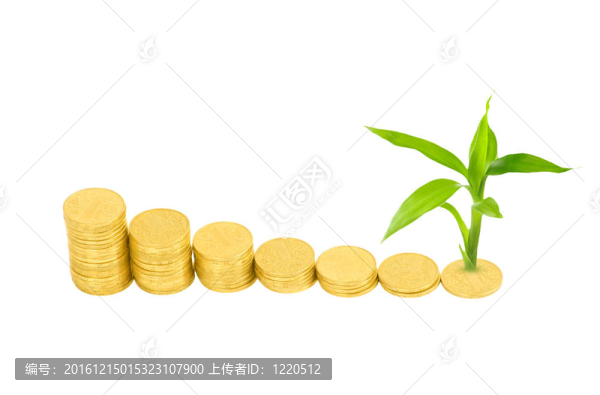 金幣和白色植物