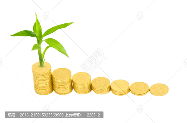 金幣和白色植物