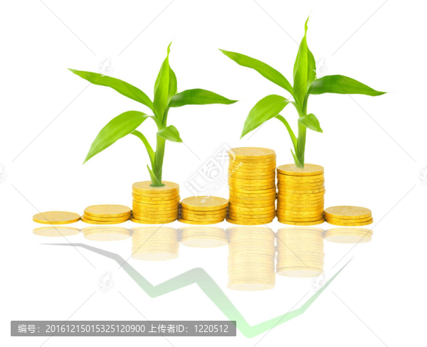 金幣和白色植物