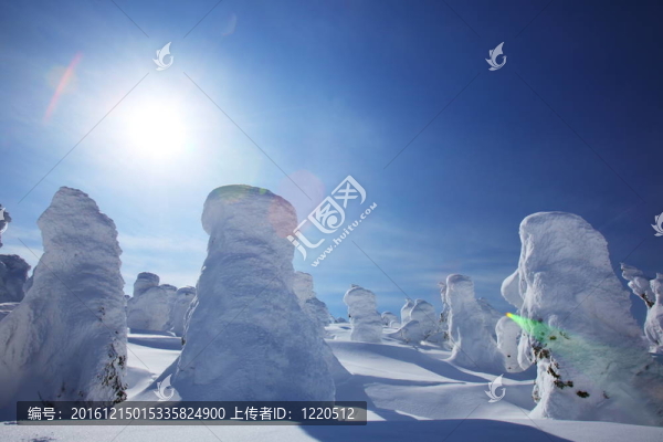霧淞；山棗在日本