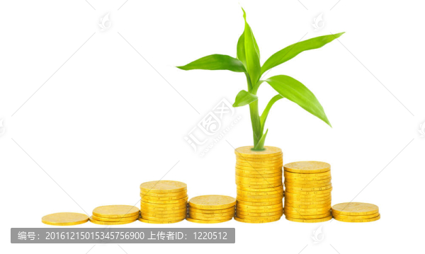 金幣和白色植物