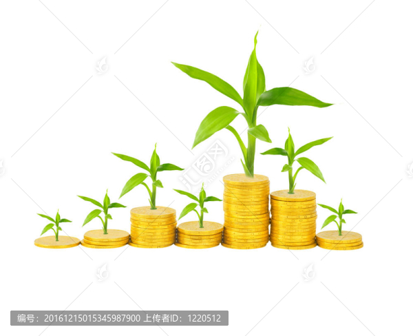 金幣和白色植物
