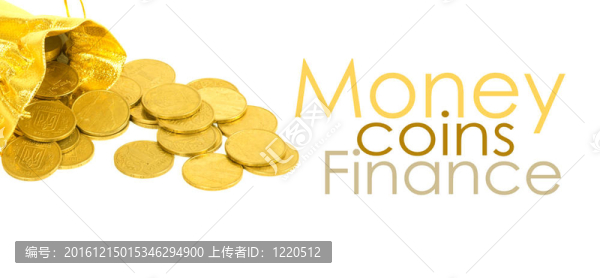 金錢金幣在白色的袋子上孤立