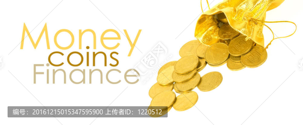 金錢金幣在白色的袋子上孤立