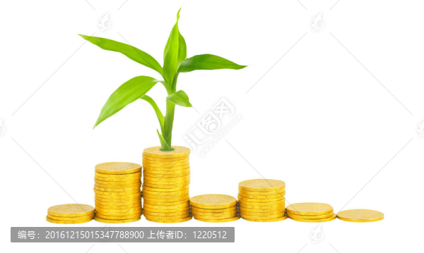 金幣和白色植物