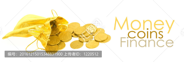 金錢金幣在白色的袋子上孤立