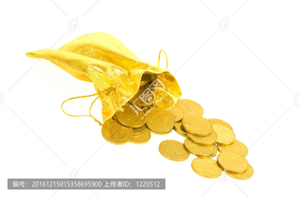 金錢金幣在白色的袋子上孤立