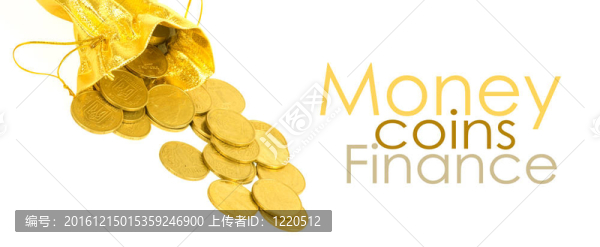 金錢金幣在白色的袋子上孤立