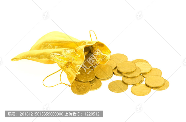 金錢金幣在白色的袋子上孤立