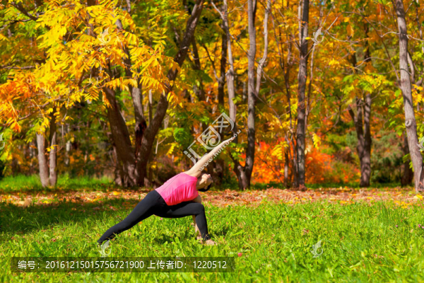瑜伽姿勢(shì)側(cè)parshvakonasana
