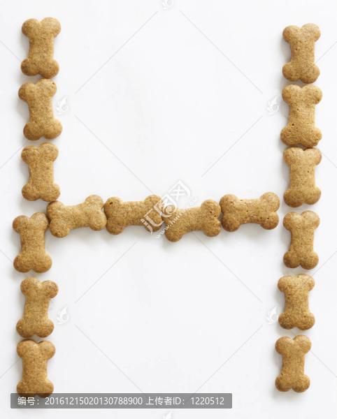 骨形狗食字母H