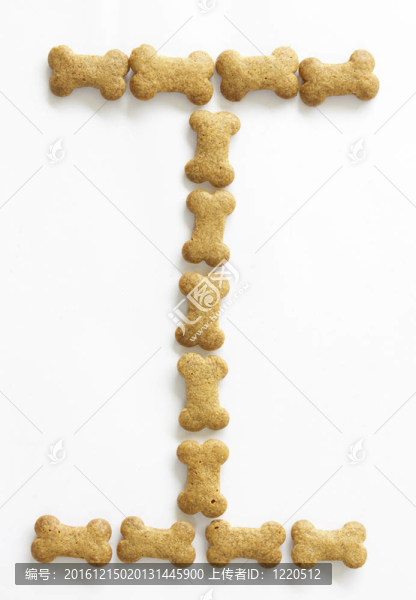 骨形狗食字母i