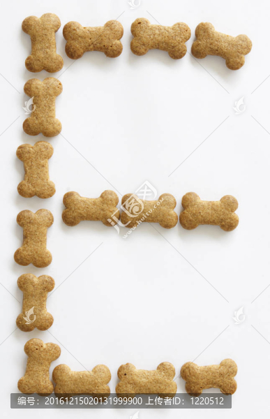 骨形狗食品字母E