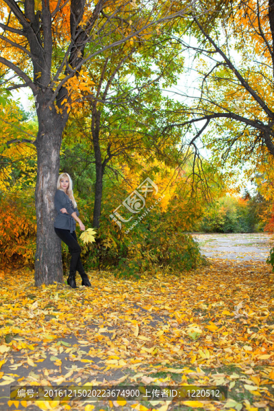 秋天公園里的美女