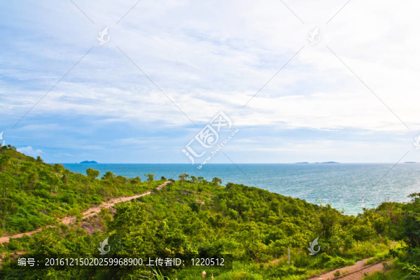 泰國島