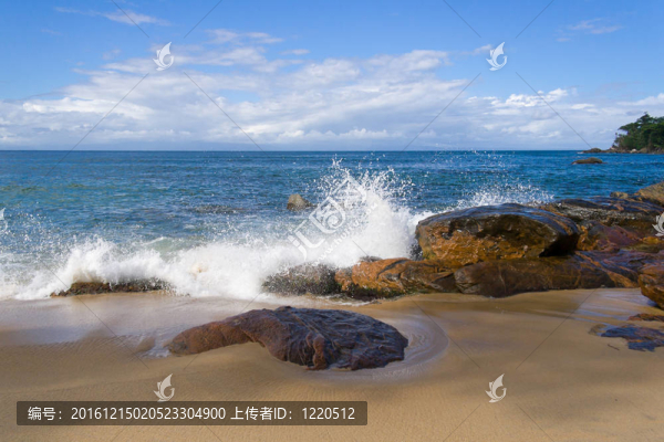 熱帶景觀